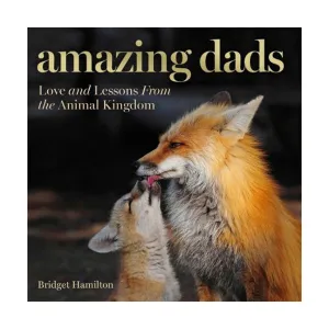 Amazing Dads