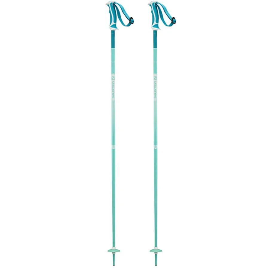 Arctic W Ski Poles 2019