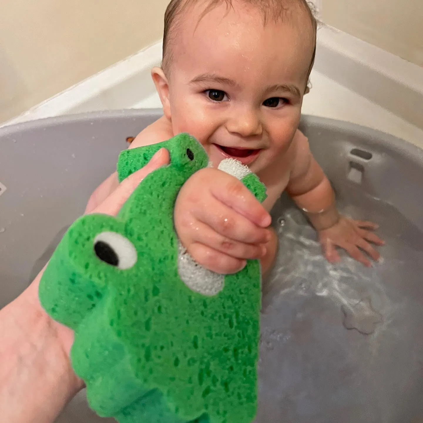 Bath Biters / Bath Sponges