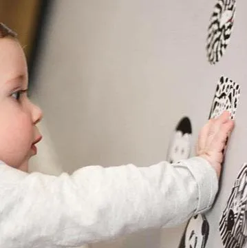 Block Sensory Decal Stickers | Animal Theme