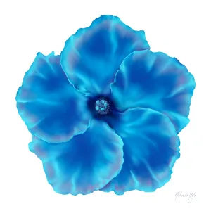 Blu Biscus