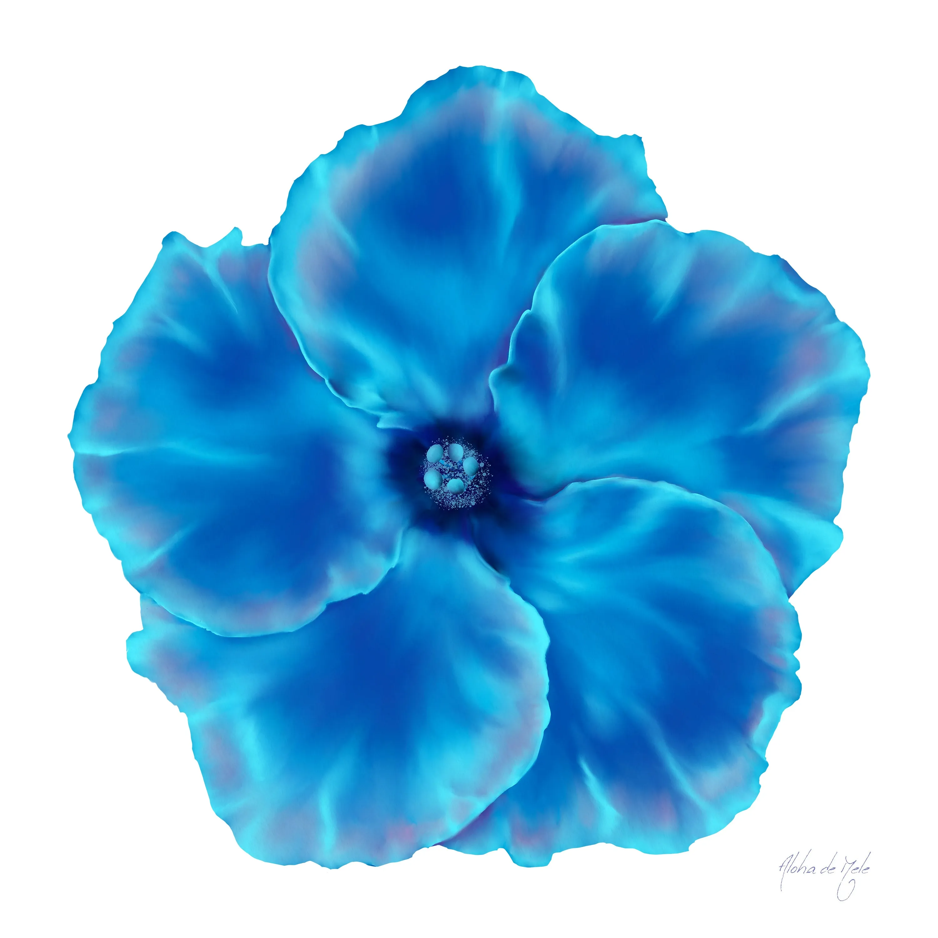 Blu Biscus