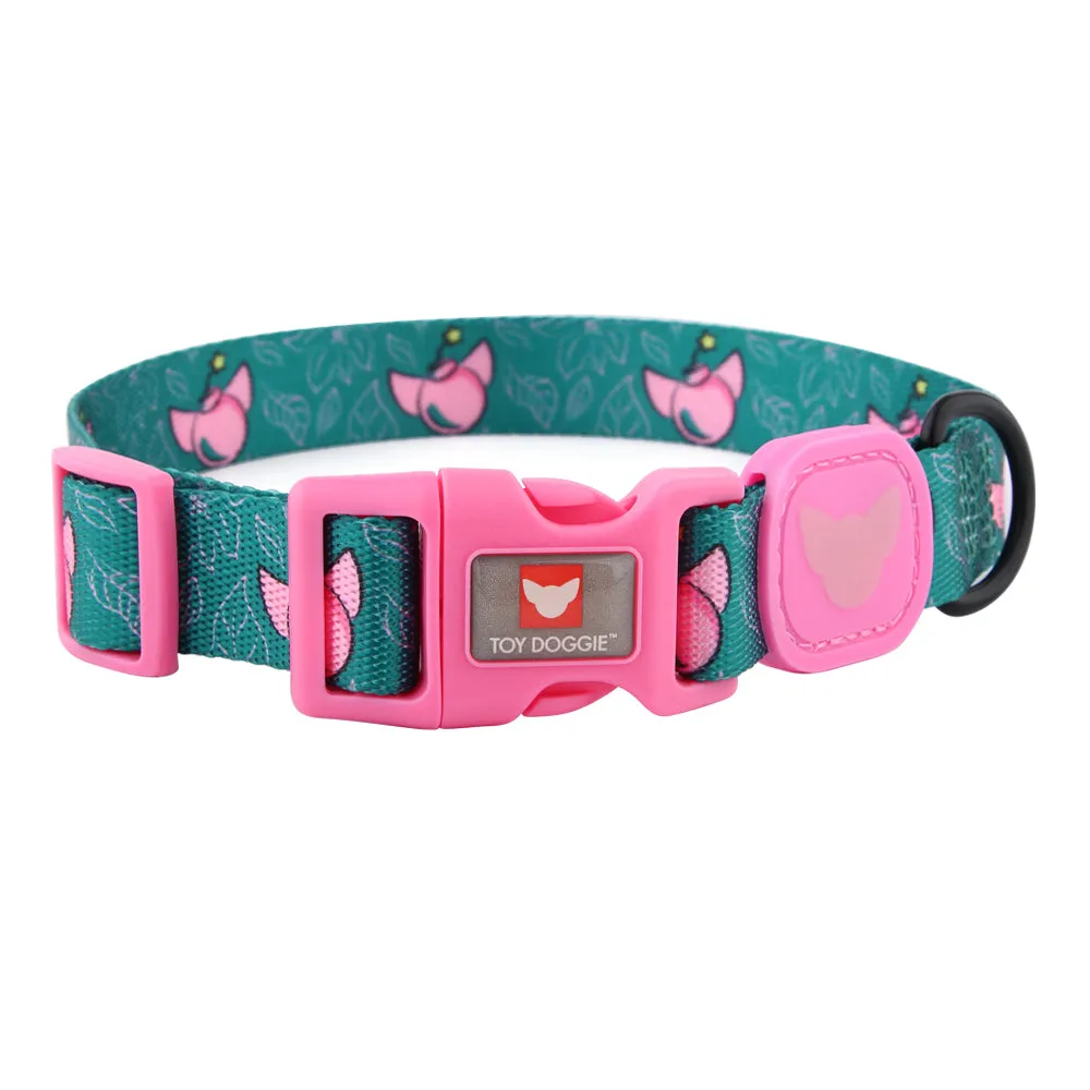 Bomba! Nylon Dog Collar | Bomba Collection