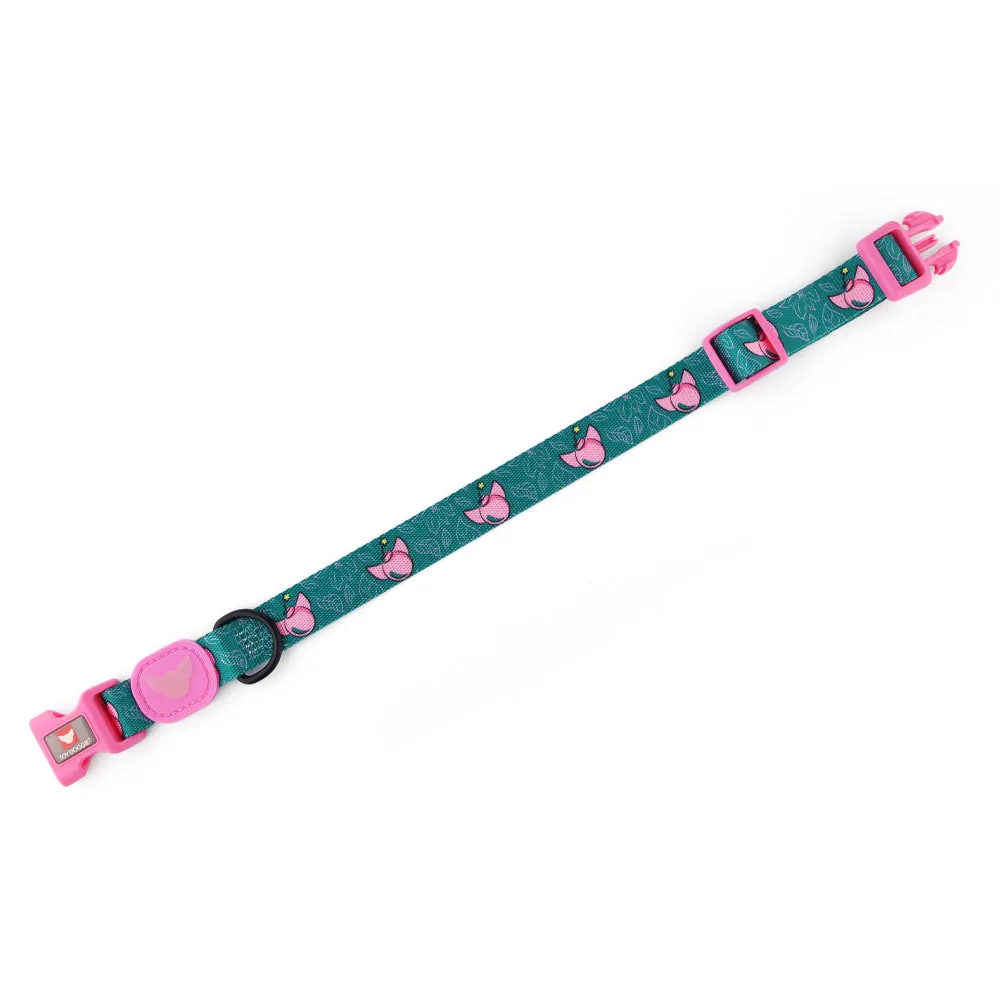 Bomba! Nylon Dog Collar | Bomba Collection