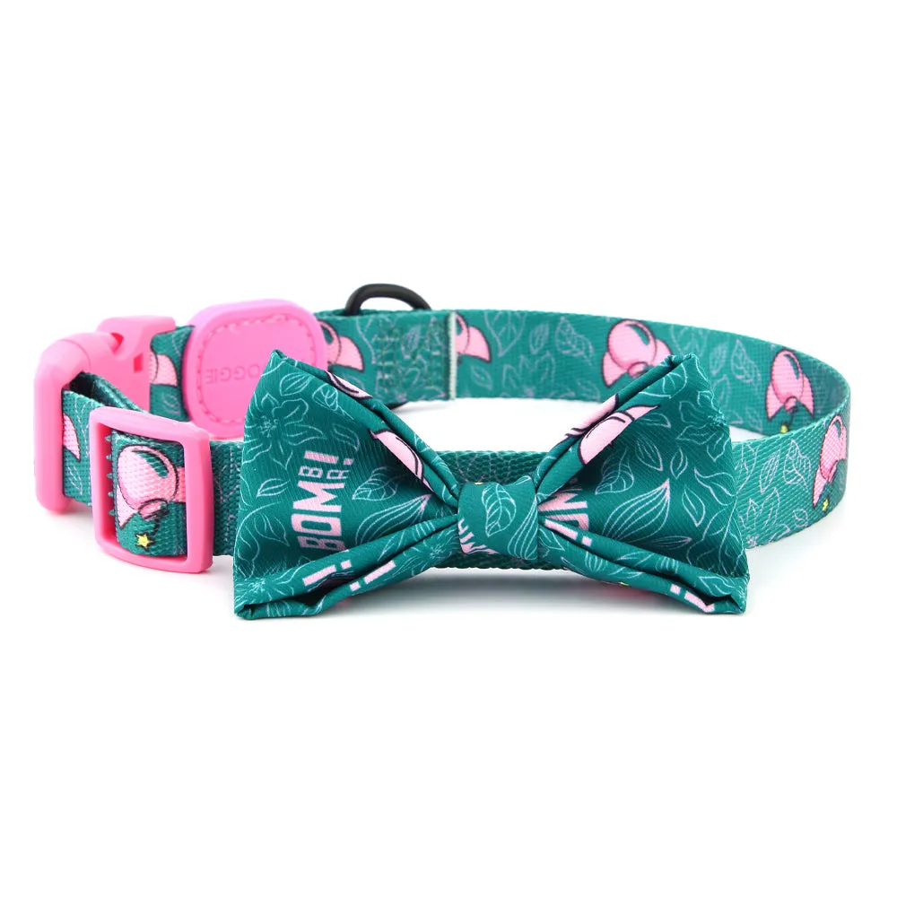 Bomba! Nylon Dog Collar | Bomba Collection