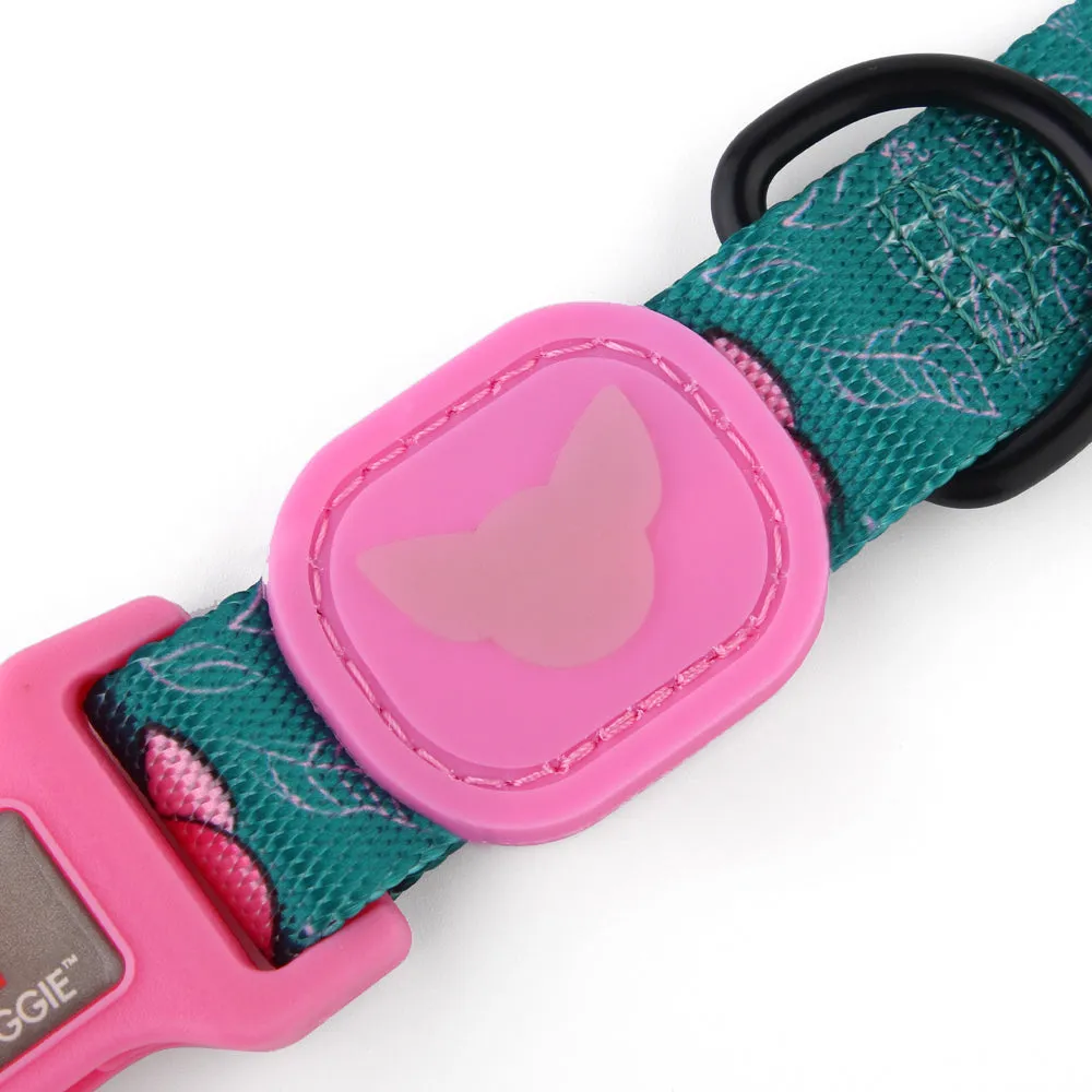Bomba! Nylon Dog Collar | Bomba Collection