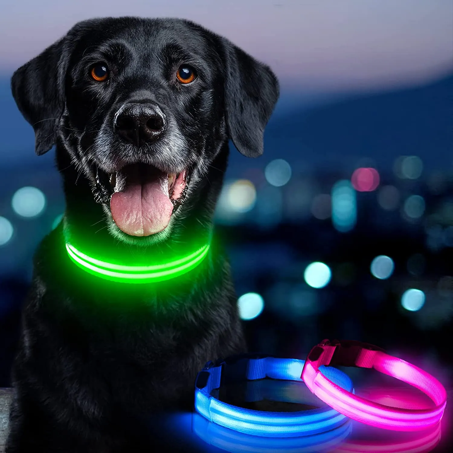 BSEEN Rechargeable LED Dog Collar, Adjustable Light Up Dog Collar Glow in The Dark