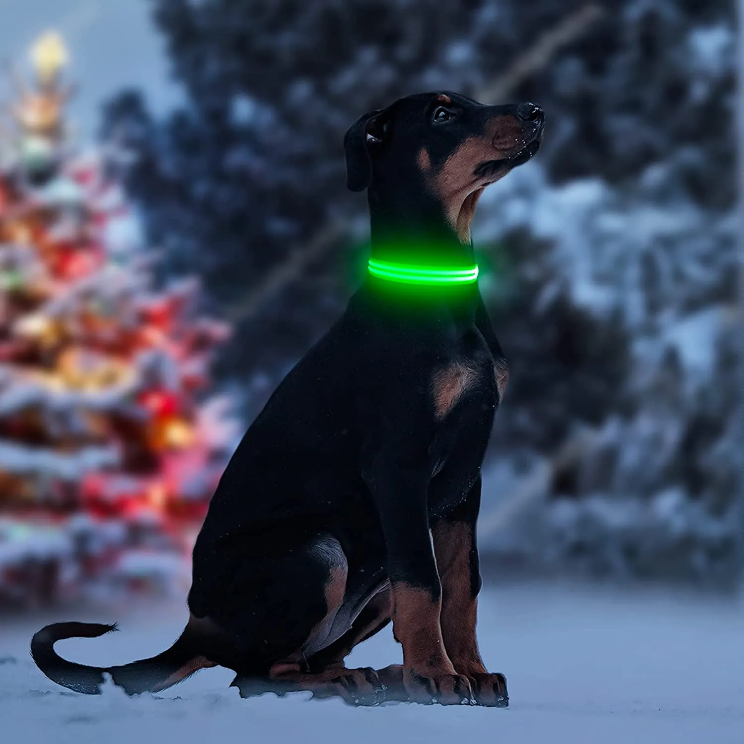 BSEEN Rechargeable LED Dog Collar, Adjustable Light Up Dog Collar Glow in The Dark