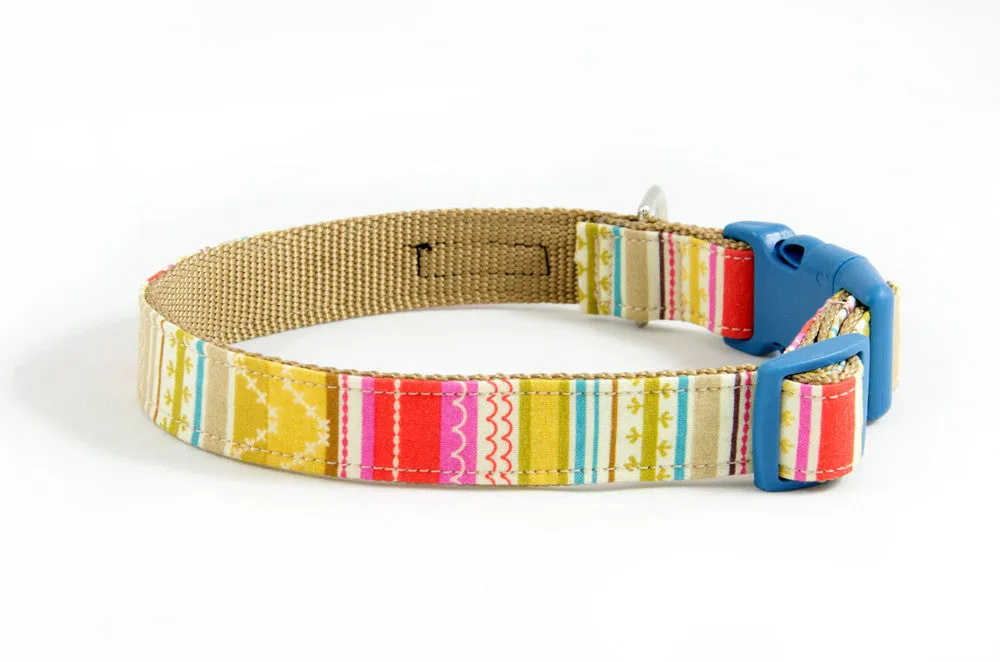 Buckle Dog Collar in Leche