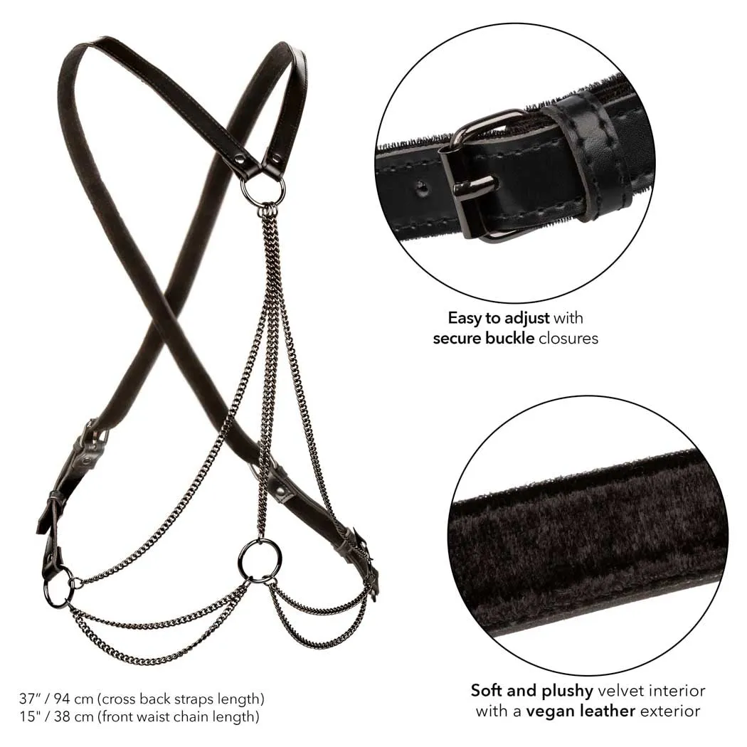 CalExotics Euphoria Multi Chain Harness