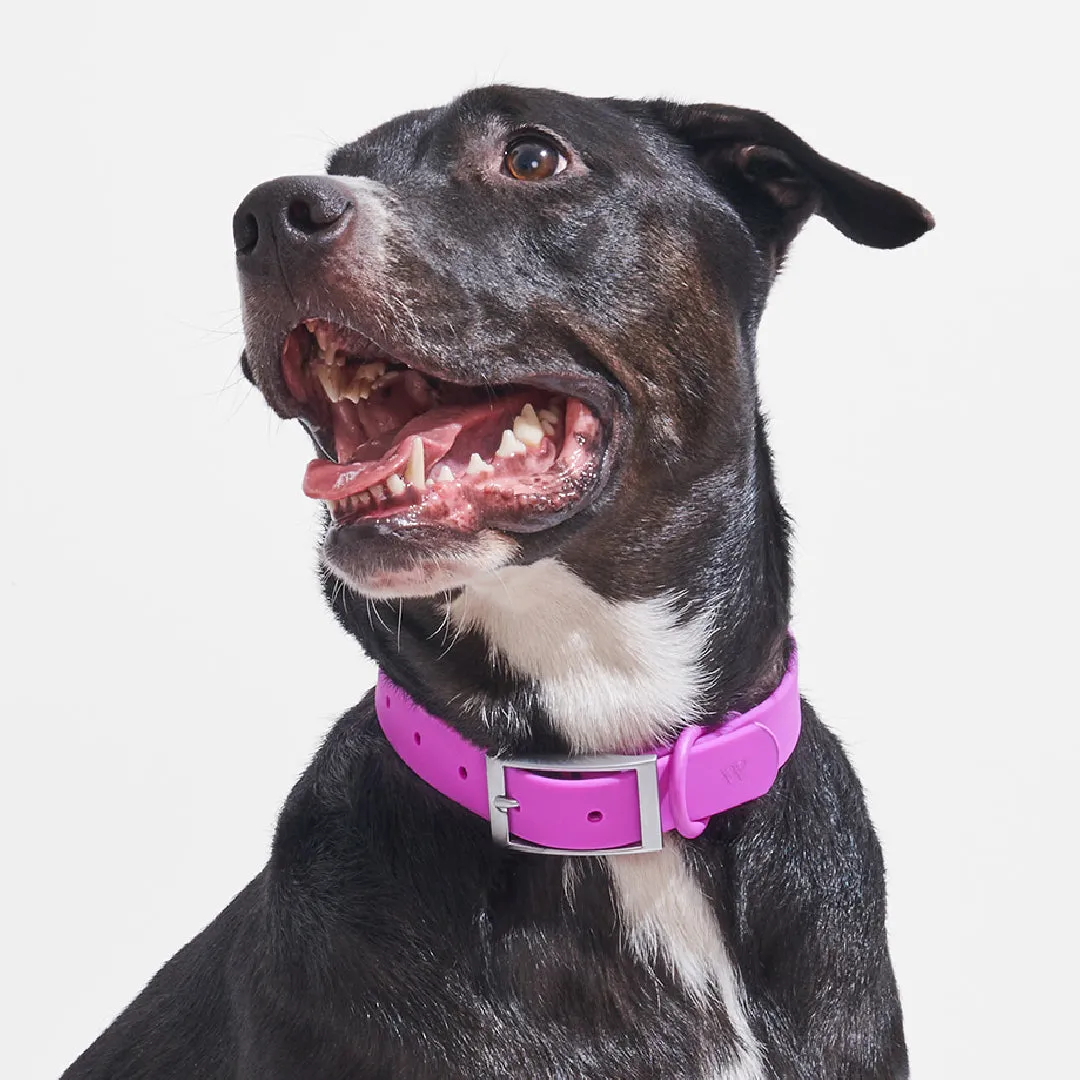 Collar