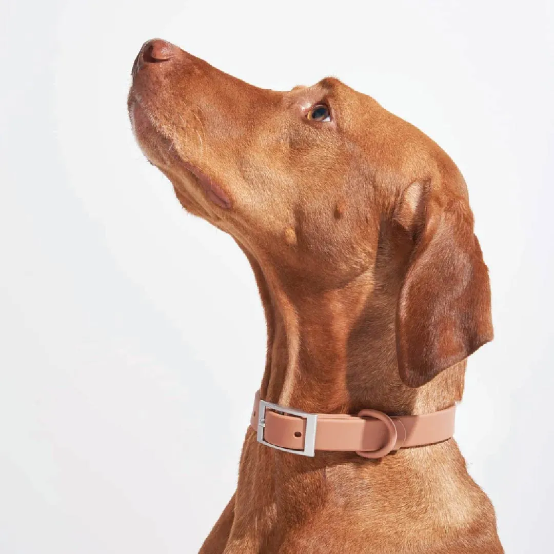 Collar