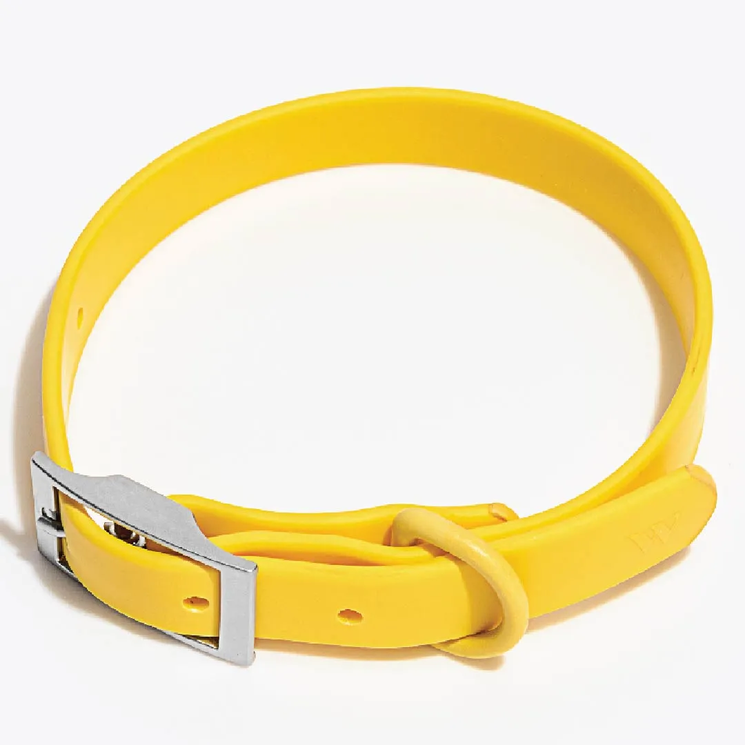 Collar