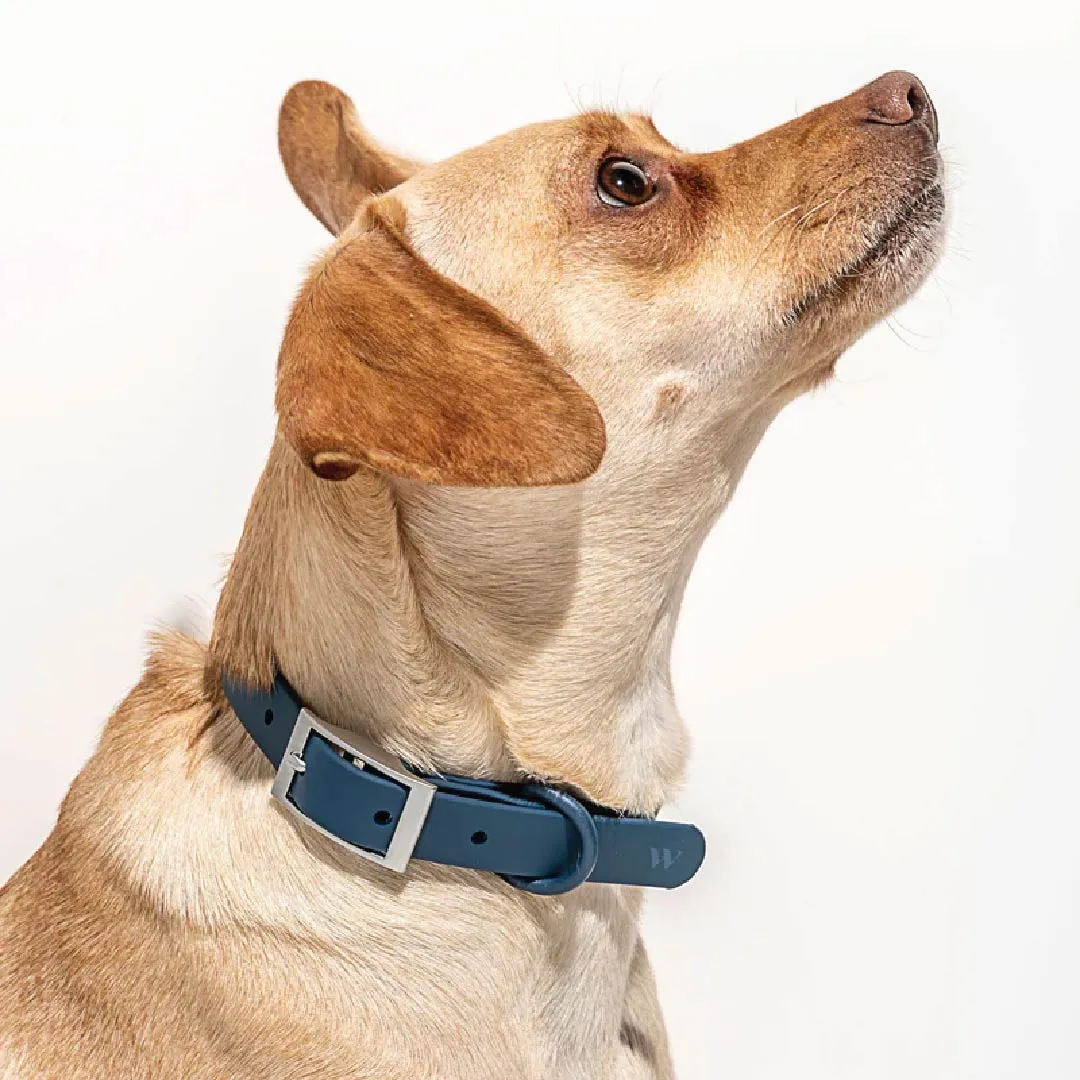 Collar