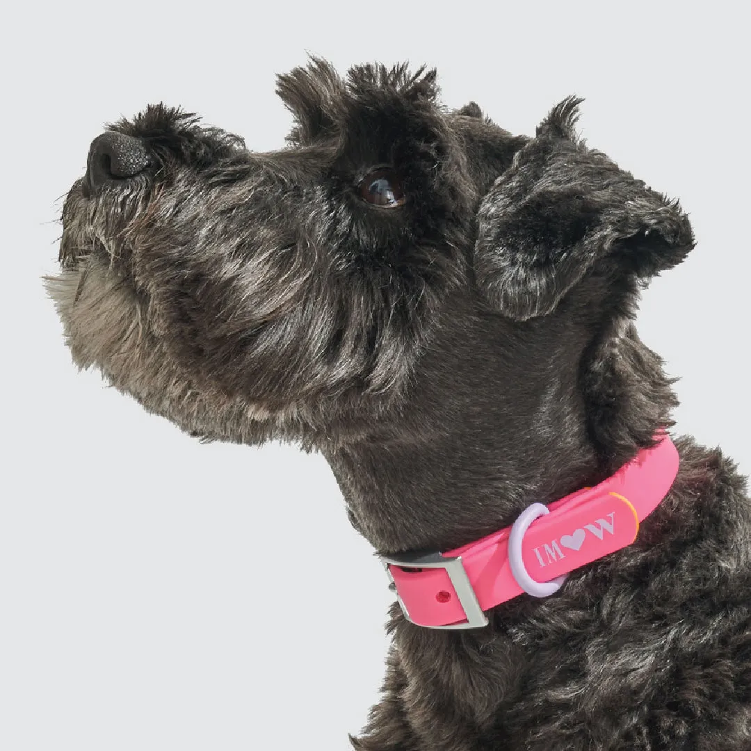 Collar