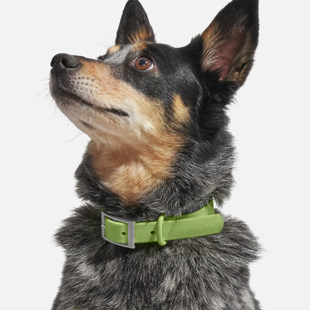 Collar