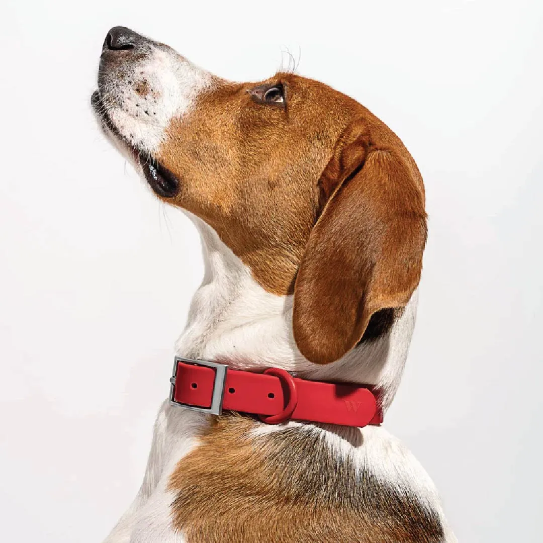 Collar