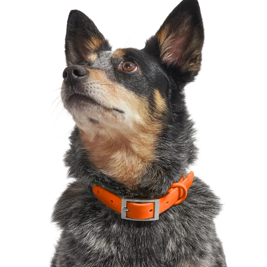 Collar