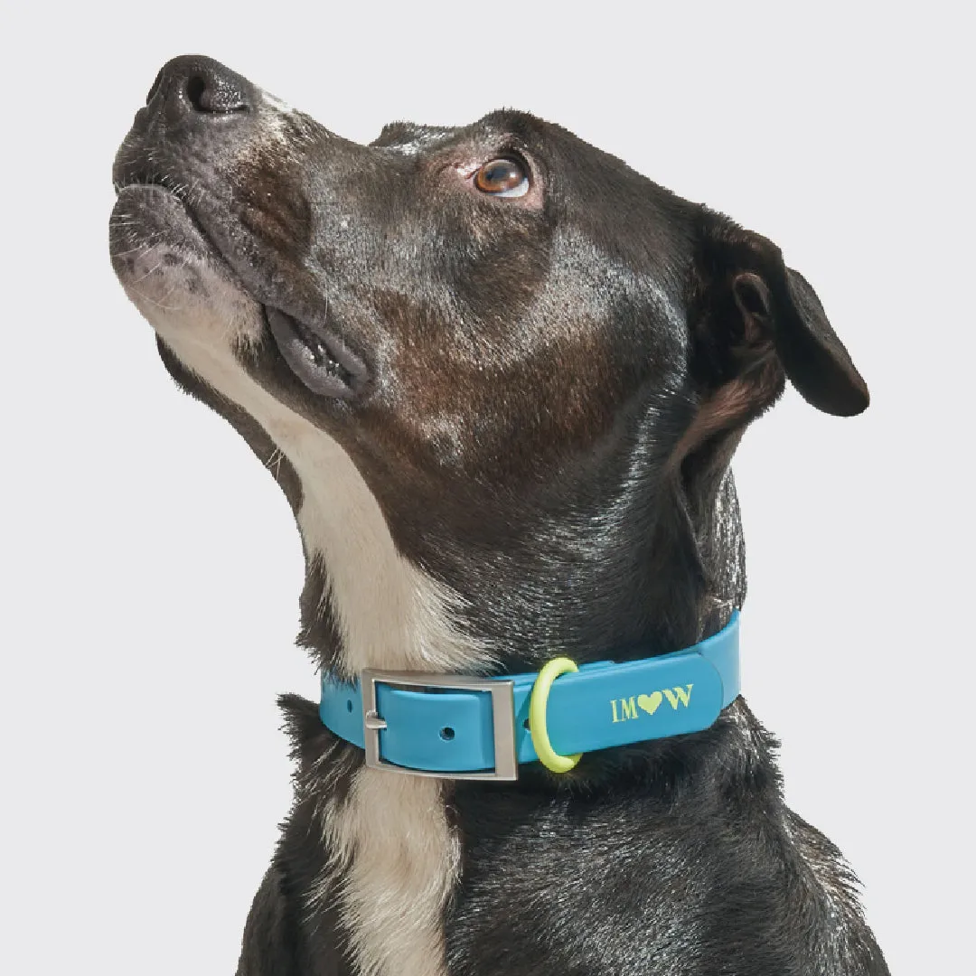 Collar