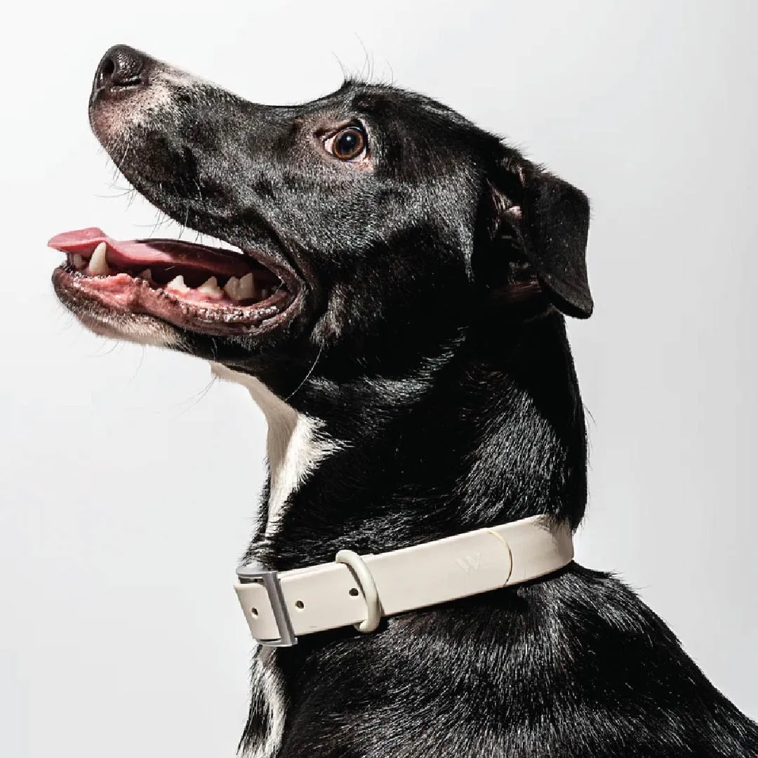 Collar