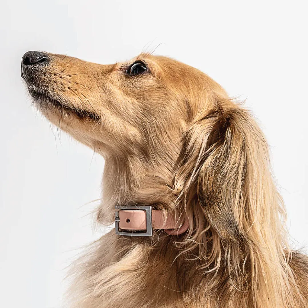 Collar