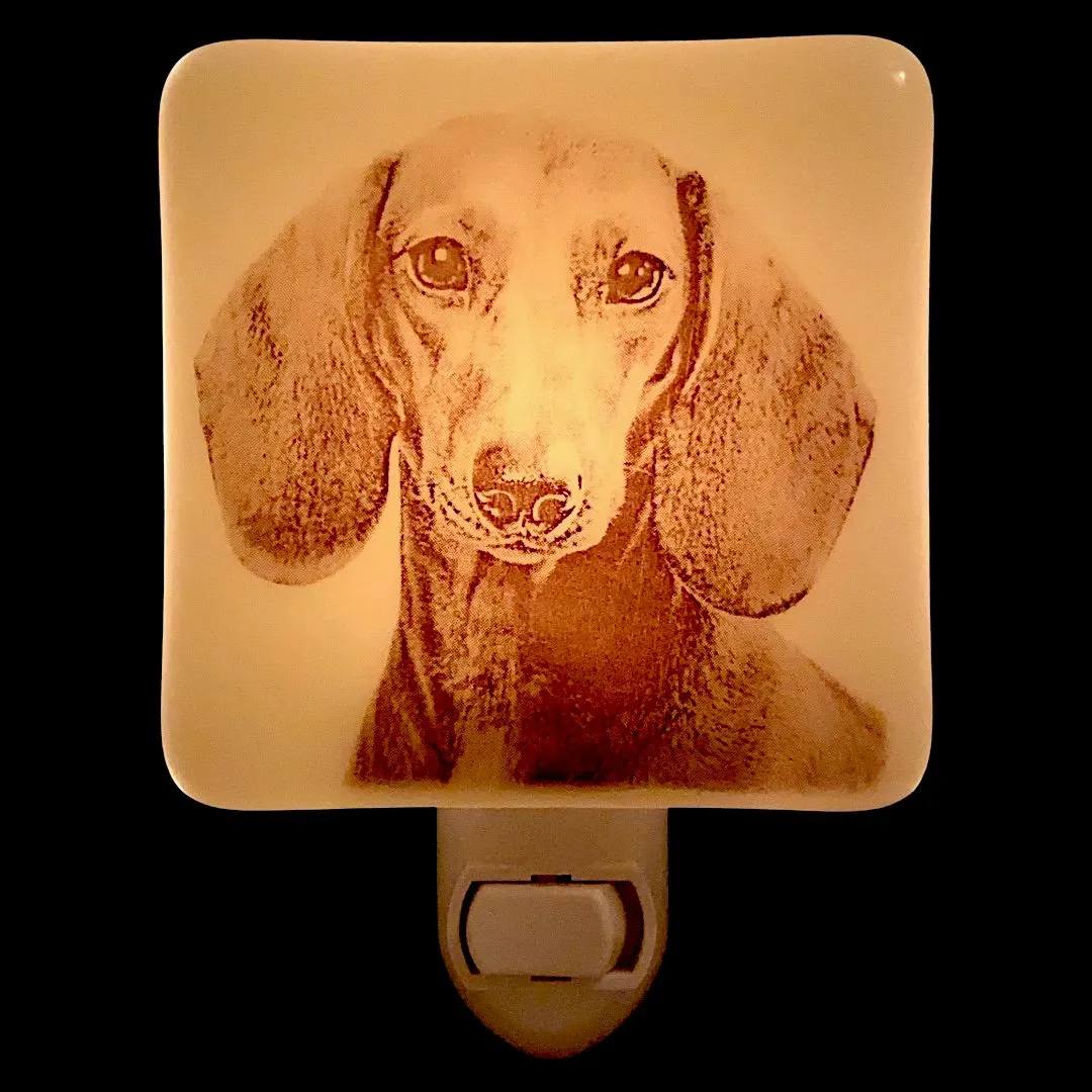 Dachshund Face Wiener Dog Night Light