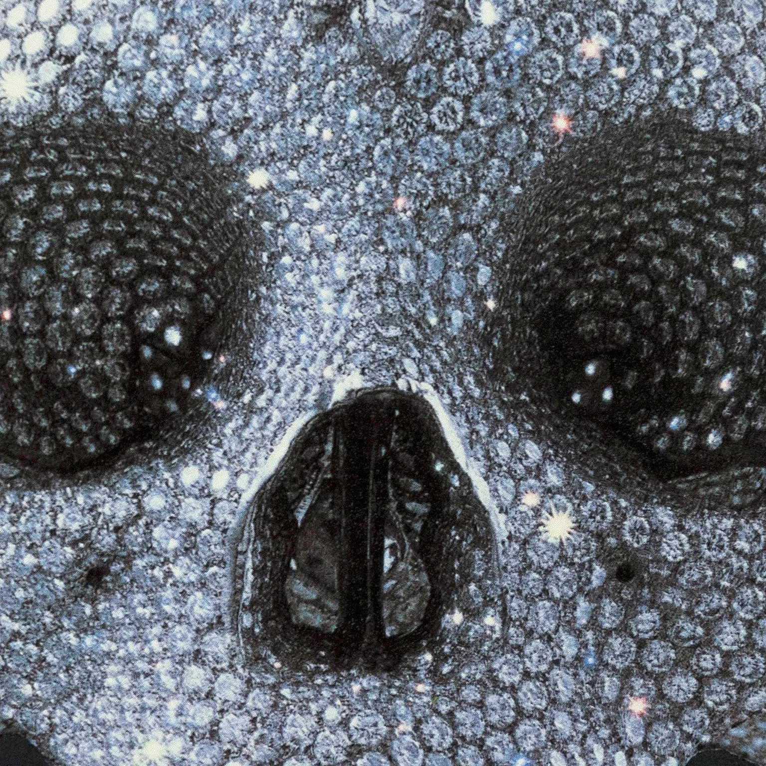 DAMIEN HIRST "FOR THE LOVE OF GOD" LITHOGRAPH 2007