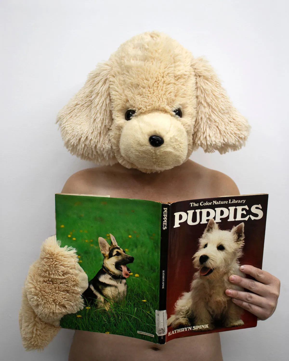 Debra Broz – Reading is Fun, 2021