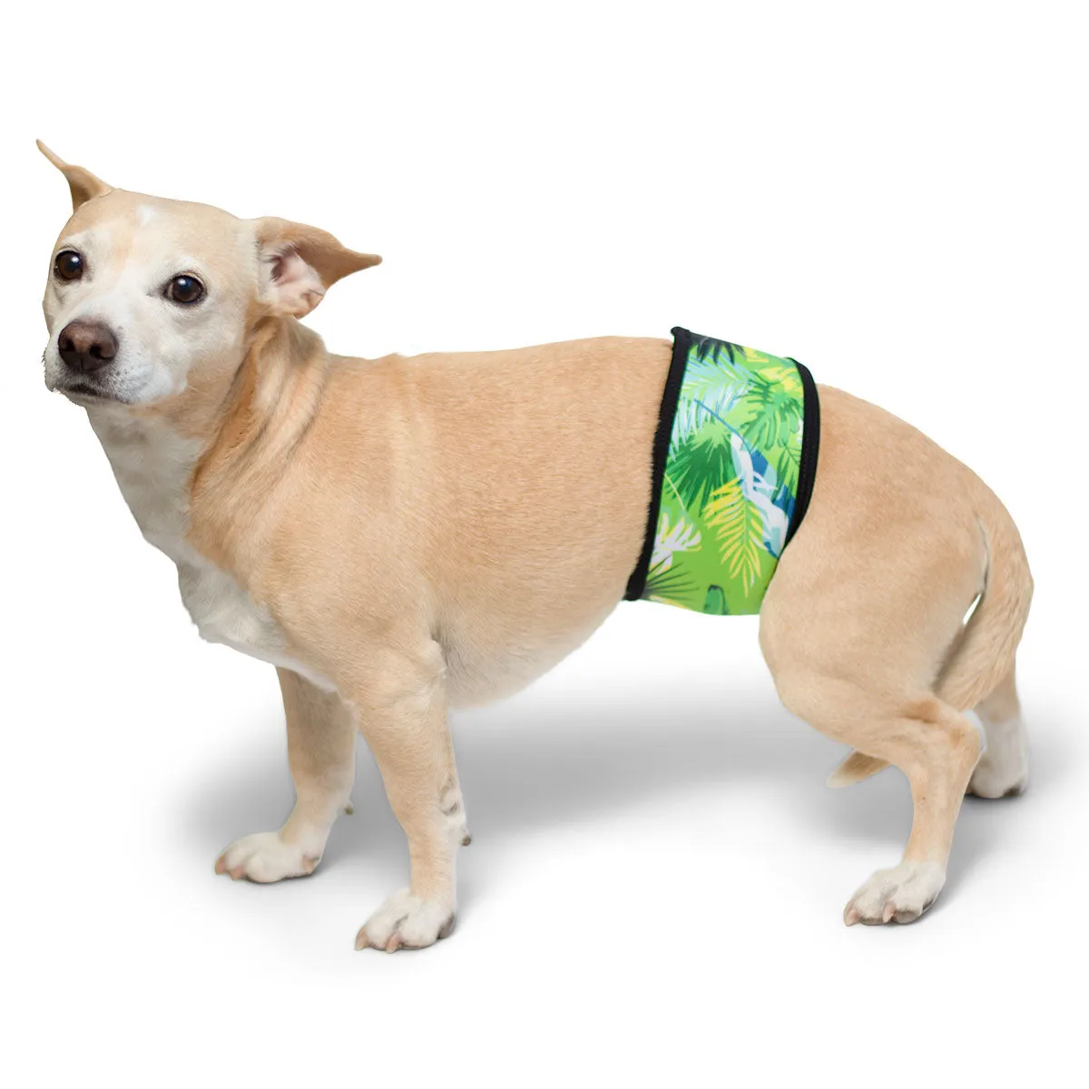 Dog Belly Band - Tropical Treasure Green