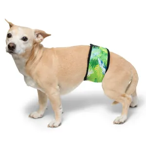Dog Belly Band - Tropical Treasure Green