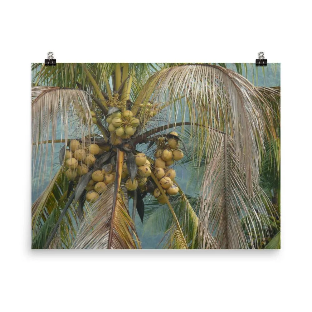 el yunque art print
