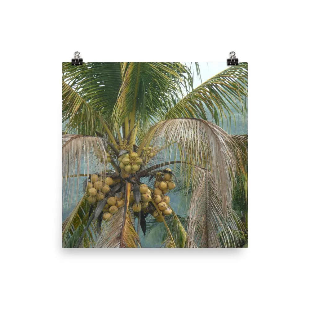 el yunque art print
