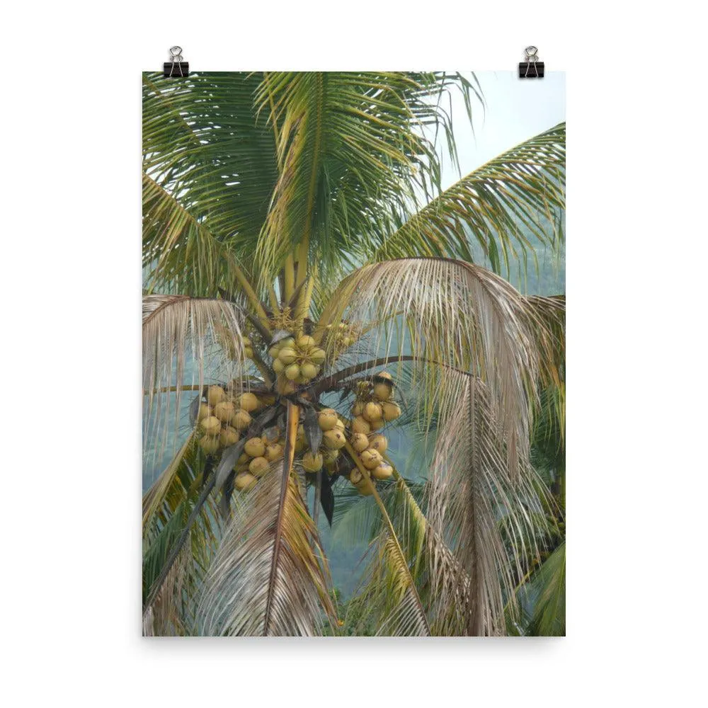 el yunque art print