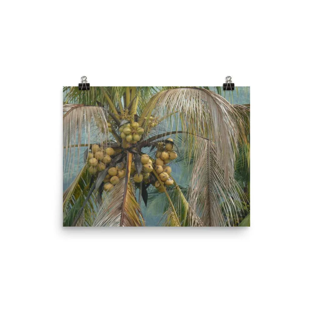 el yunque art print