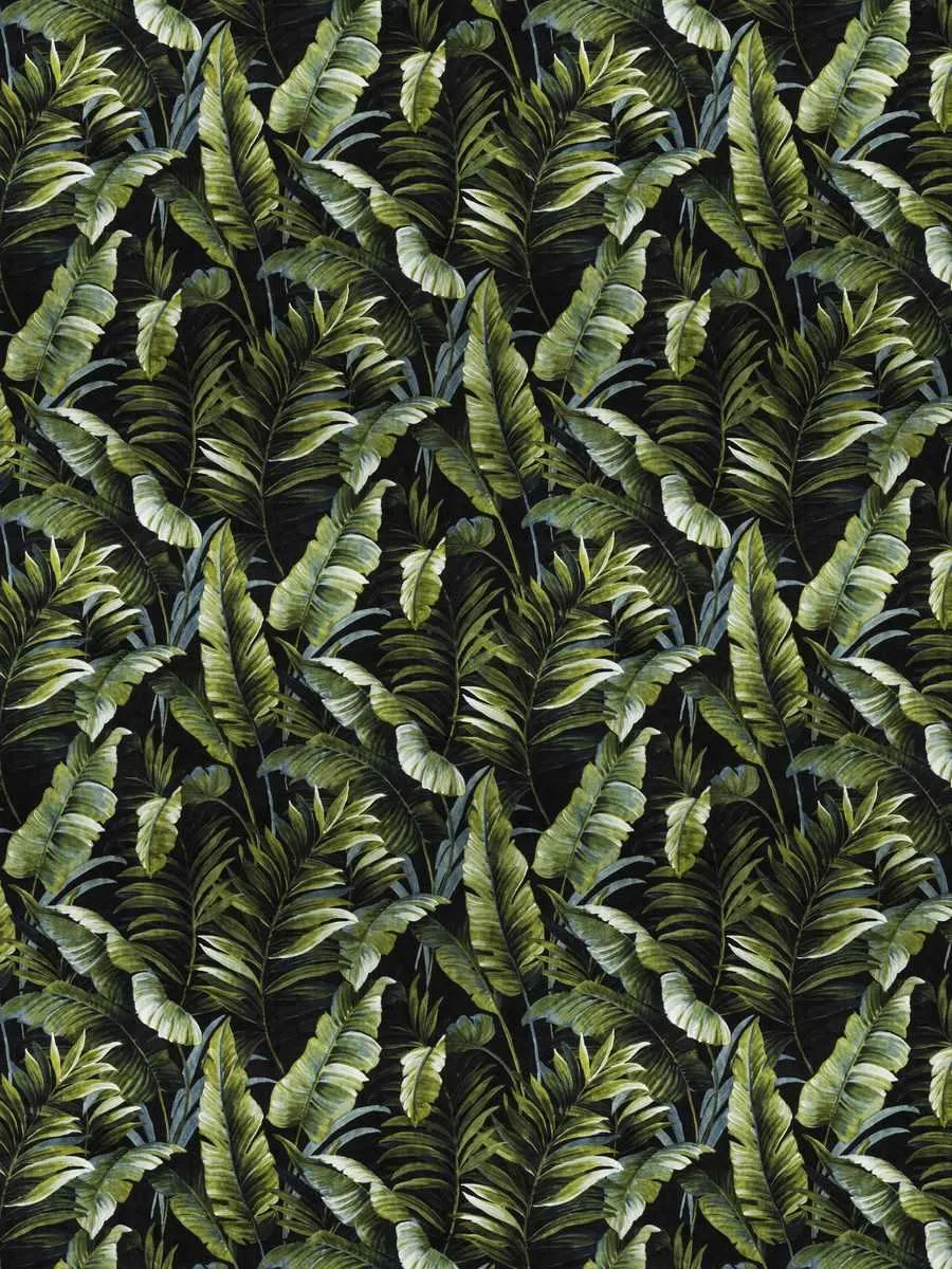 Floral Kingdom-Absynth Onyx