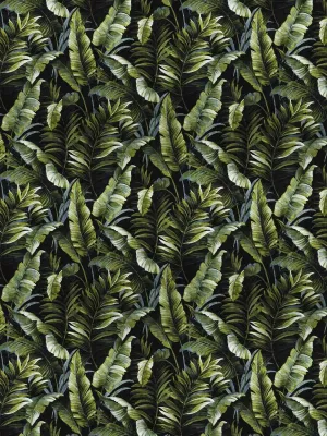 Floral Kingdom-Absynth Onyx