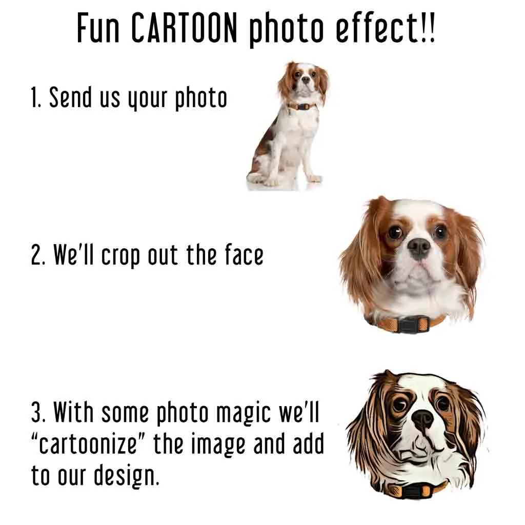 Fun Cartoon Pet Photo Socks for Him and Her