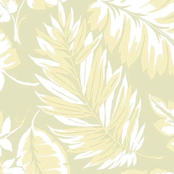 Green Tropical Leaves PA34257 Wallpaper