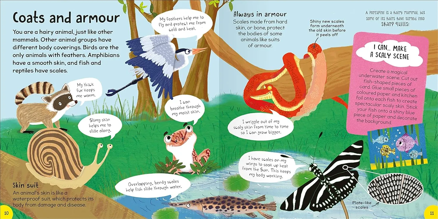My First Animal Book