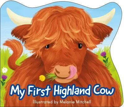 My first highland cow