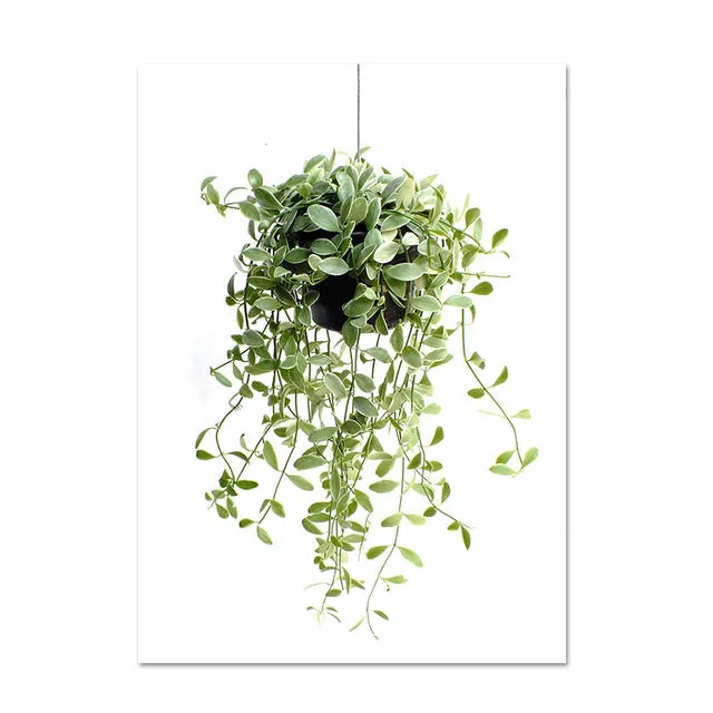 Nordic Simple Green Plants And Succulent