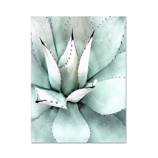 Nordic Simple Green Plants And Succulent