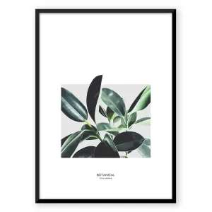 Nordic Tropical Leafs