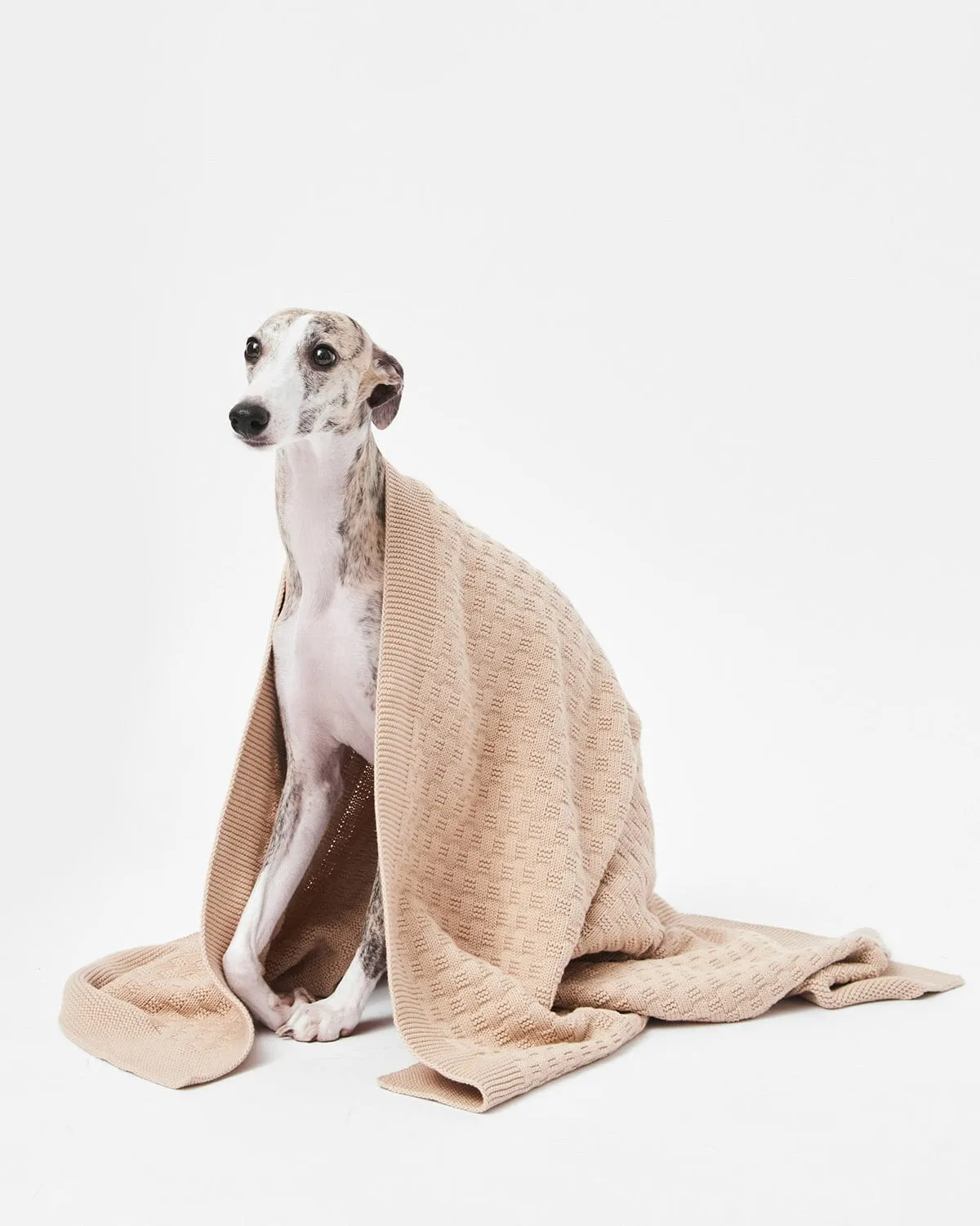 Organic Cotton Knitted Blanket | Sand