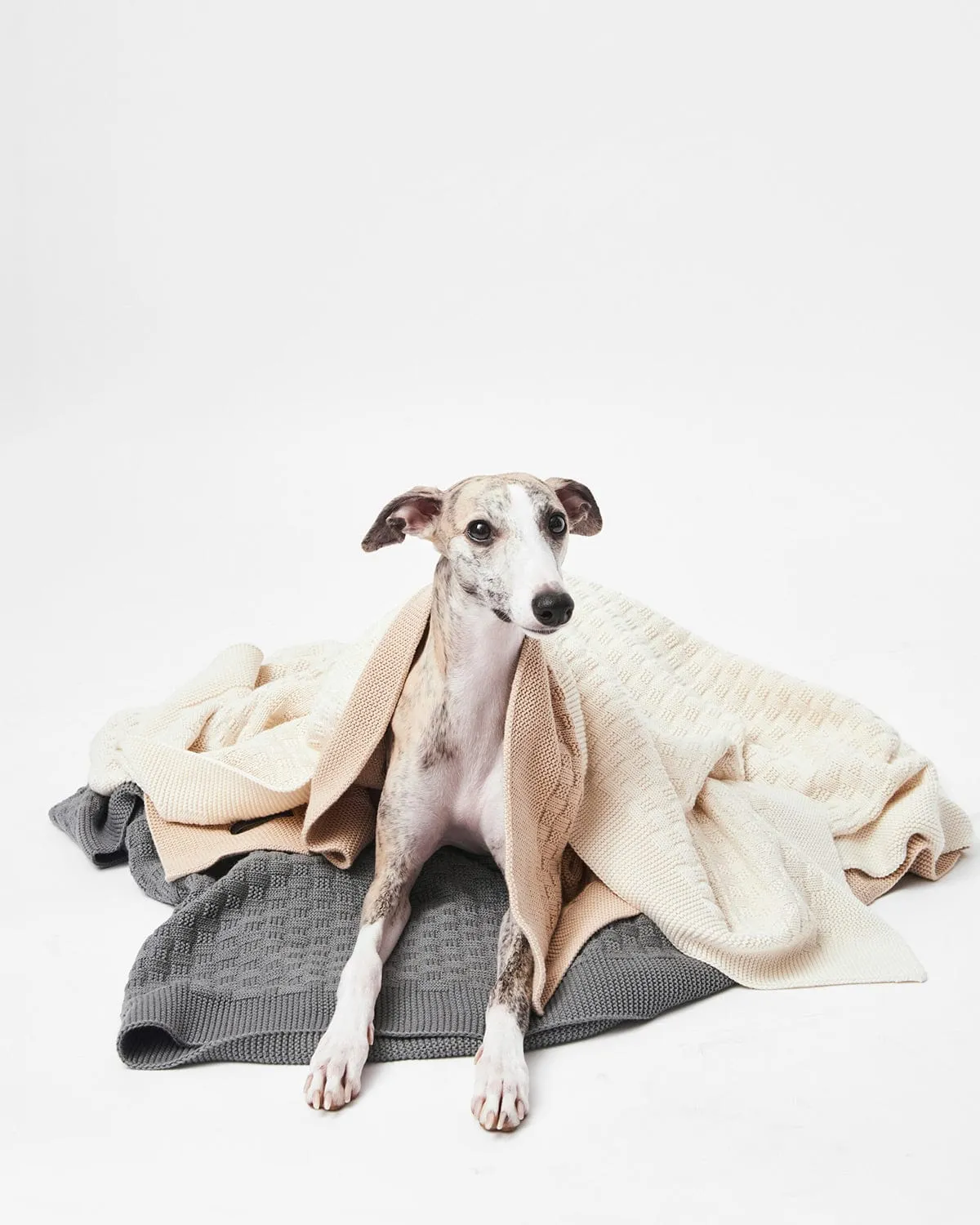 Organic Cotton Knitted Blanket | Sand