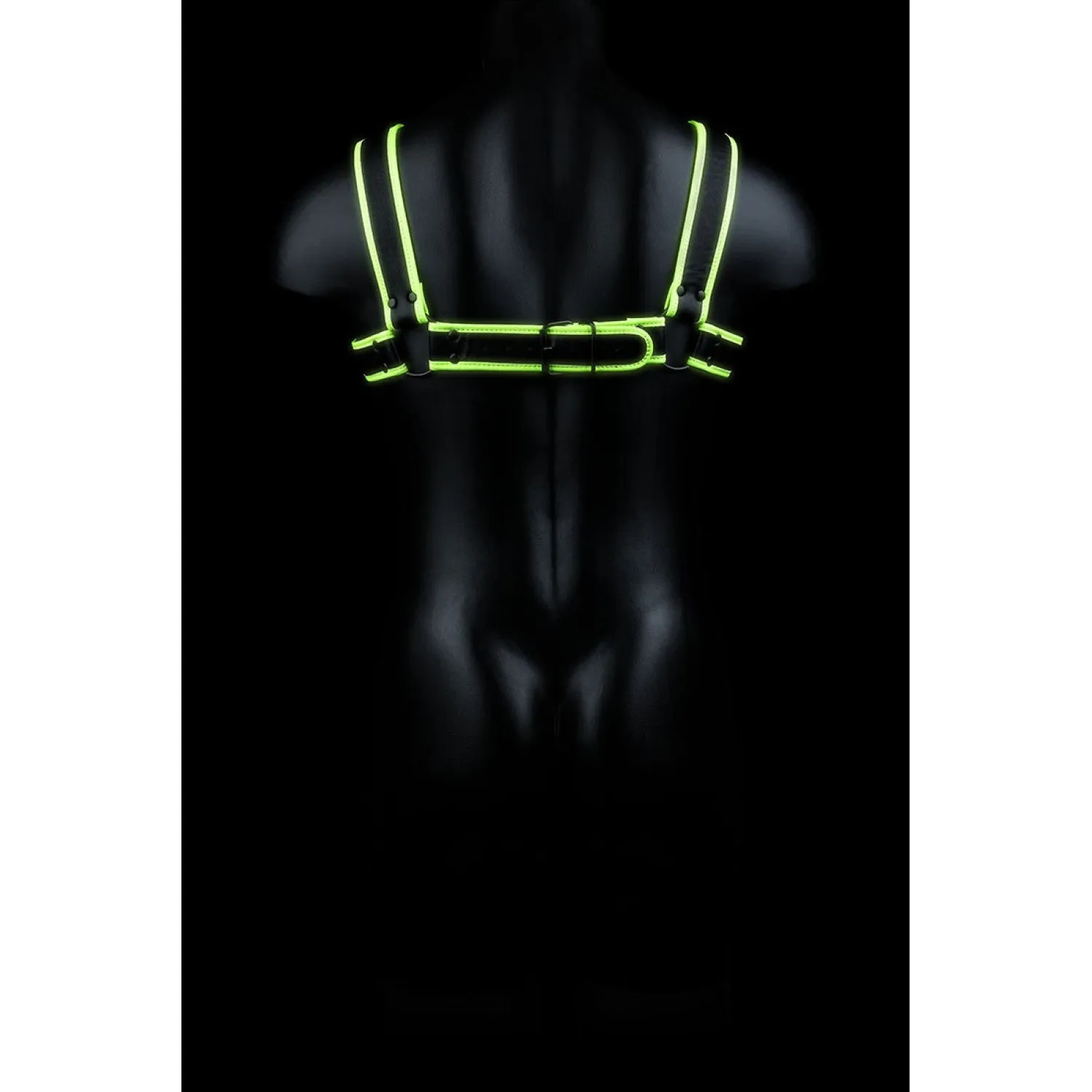 Ouch! Glow in the Dark Borst Bulldog Harness