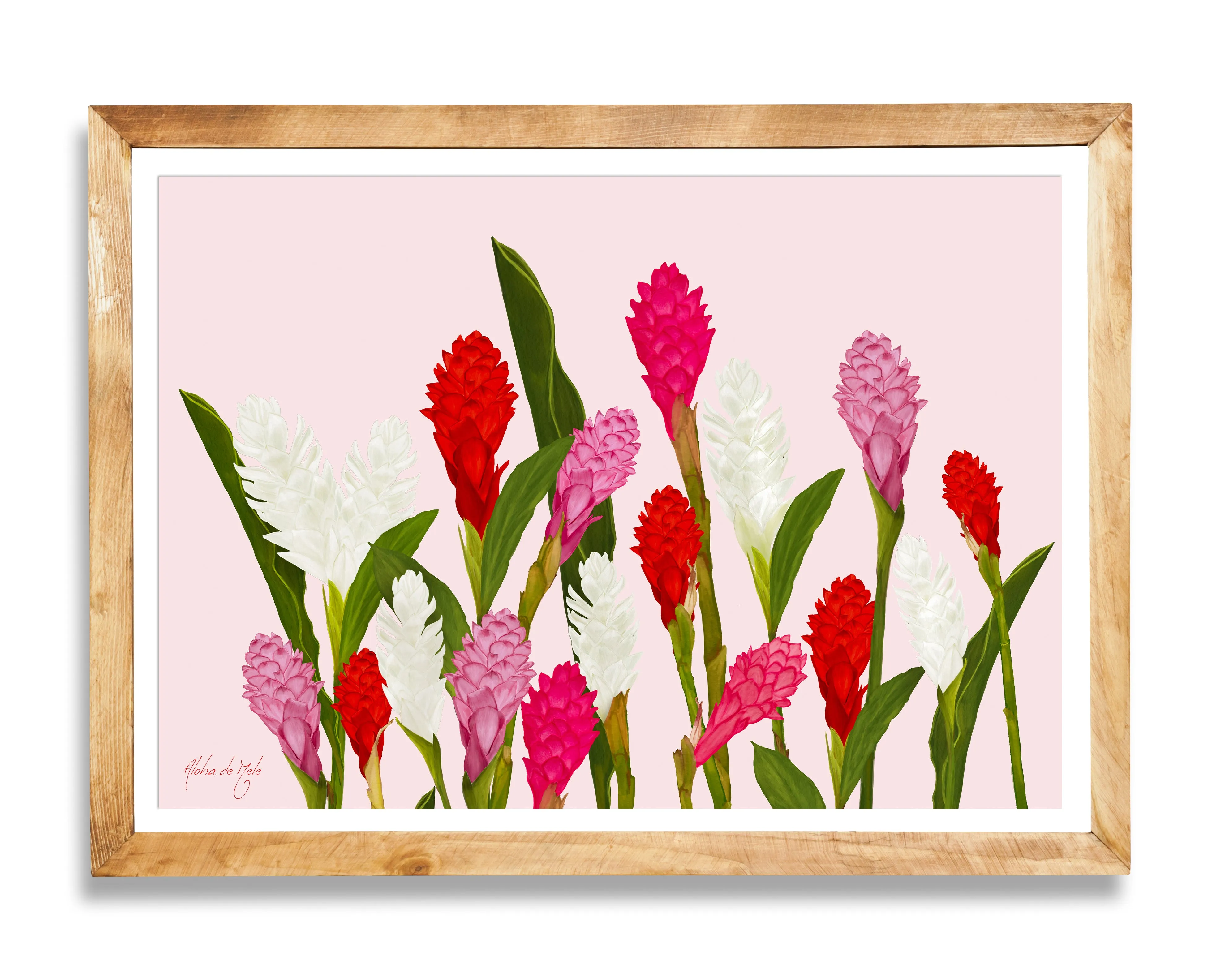 Party Blooms