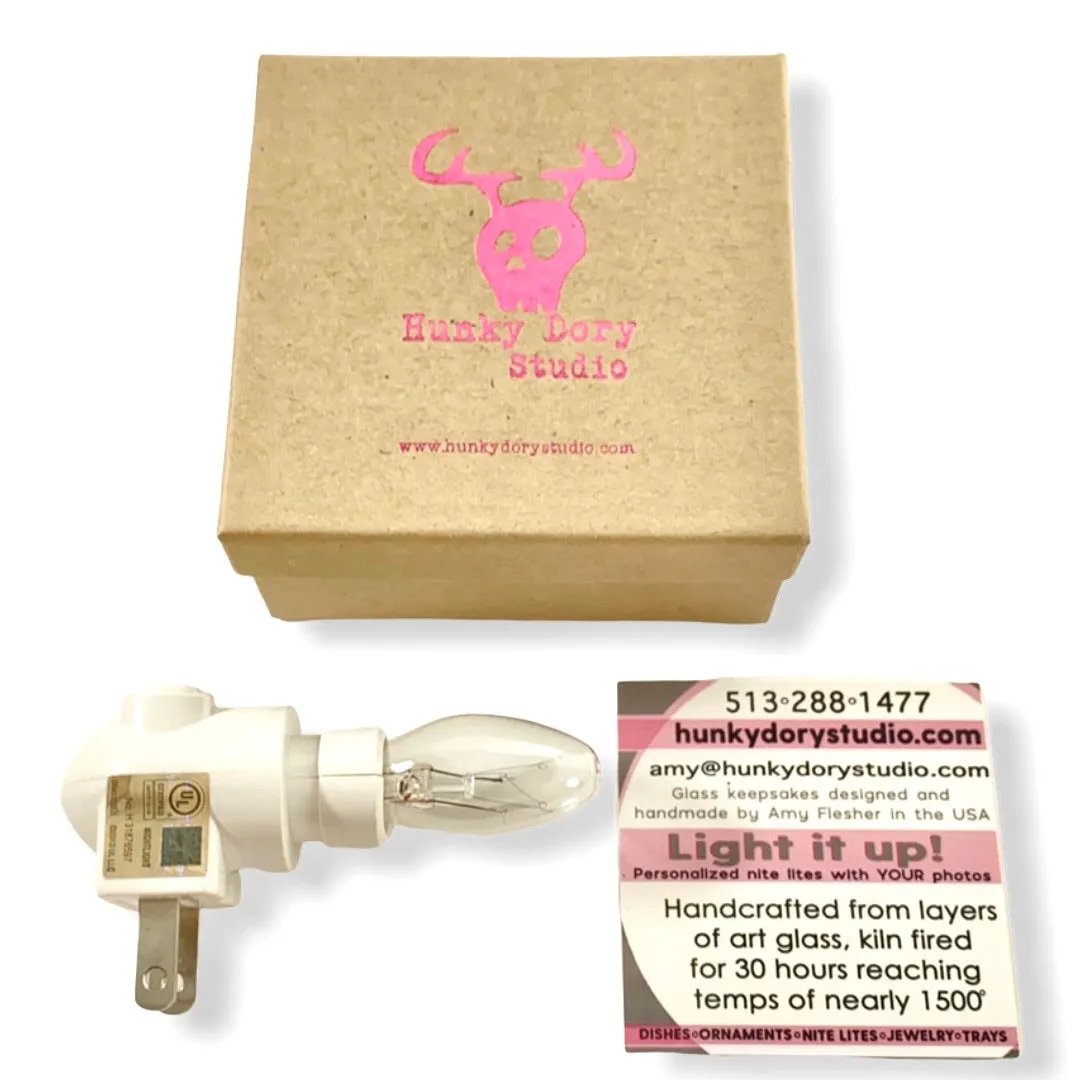 Pit Bull Night Light