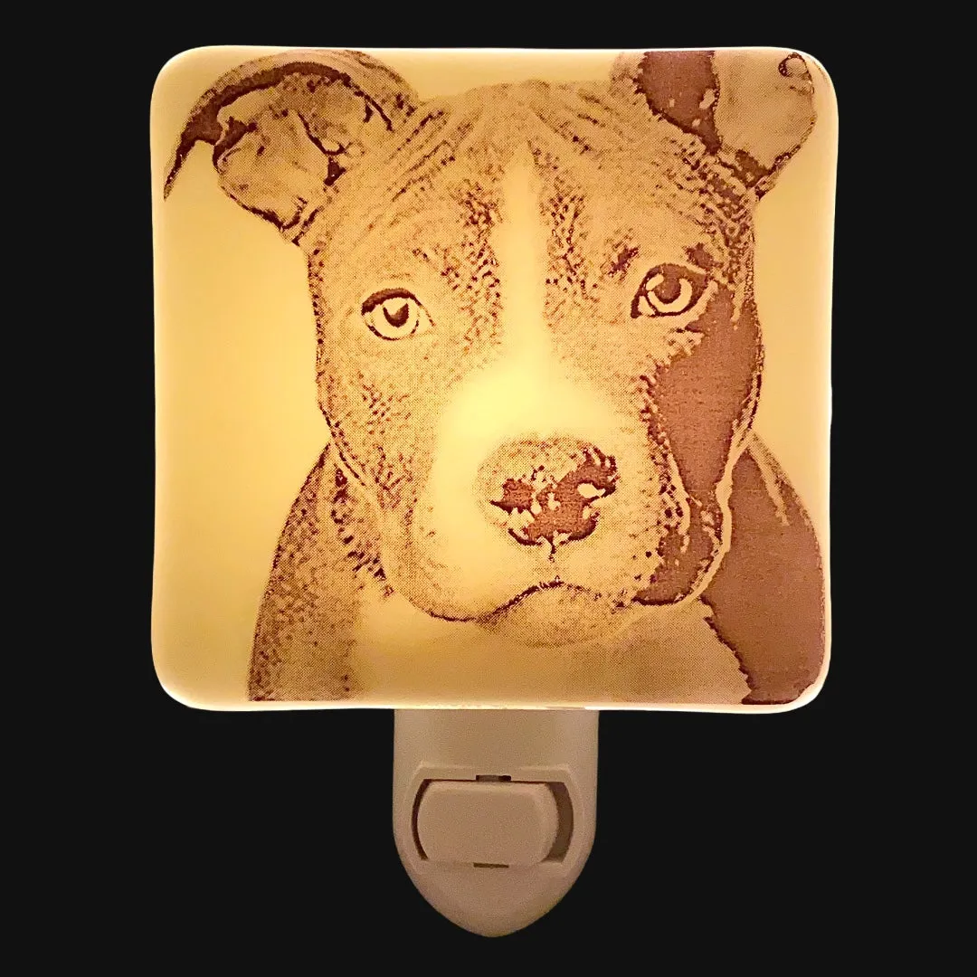Pit Bull Night Light