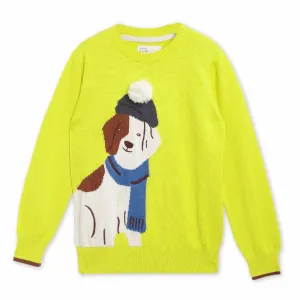 Pom Pom Animal Sweater